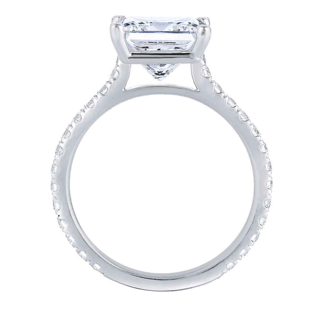 V1360 PRNS RING APRIL 23 GALLERY