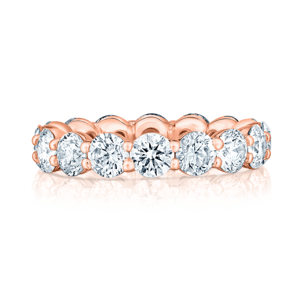 Gavia Rose